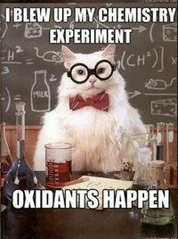 Screen shot 2012-06-15 at 4.50.10 PM