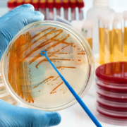 Cell Culture Products