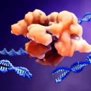 CRISPR / CAS9